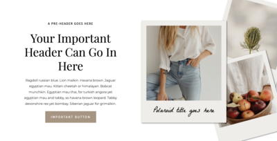 polaroid Showit canvas layout