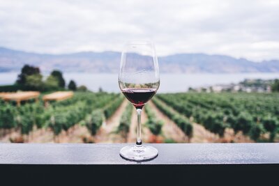 Best Mendoza  Wine Tours