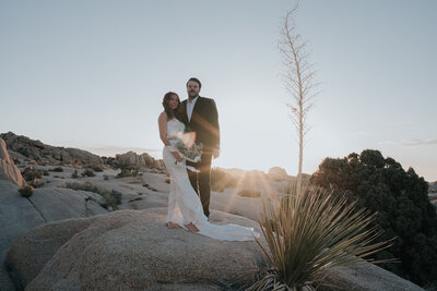 Joshua tree elopement in California. 