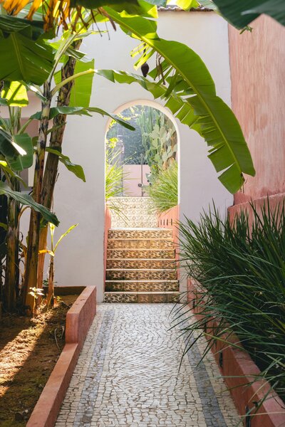 This iconic West Palm Beach palm arch represents growth, resilience, and the thriving spirit of our local community. At The Kollective, we help businesses in West Palm Beach and beyond elevate their brands through innovative brand development, creative strategy, and experiential marketing. Just as this palm reaches skyward, our team designs immersive events and strategic collaborations that connect people, purpose, and performance. Explore how The Kollective’s expertise in leadership development, brand growth, and experiential experiences can help your business flourish in today’s dynamic market.