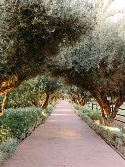 Marrakech  luxury wedding Sofia Nascimento Studios