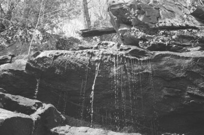 small trickling water fall