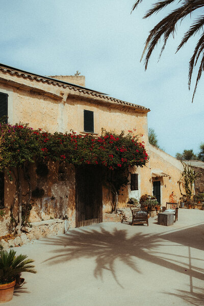 Finca auf Mallorca mit Palmen bei Sonnenschein