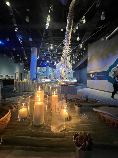 Fun-wedding-planned-by-a-sustainable-wedding-planner-in-Greensboro-044