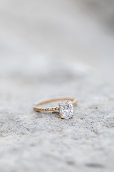 lindsey_austin_engaged-0212