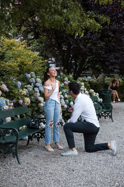 Young man on his knees proposing to his surprsed girlfriend, blue hydrangeas in the background.