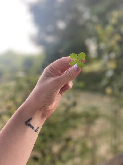 bras-treffle-irlande-chance-nature