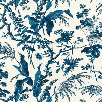 ASPA_PETROL BLUE