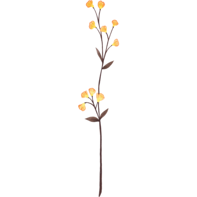 boho wildflower flower graphic in gold