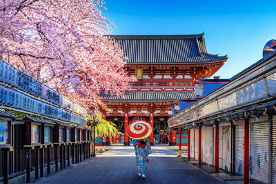 A vibrant cherry blossom tree frames a traditional Japanese temple, symbolizing the beauty and culture of Japan.