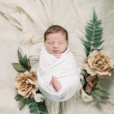 Wall Gallery Example by Philadelphia Newborn Photographer Samantha Jay