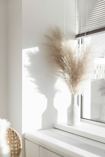white walls, large window, white vase with tall fluffy pampas grass