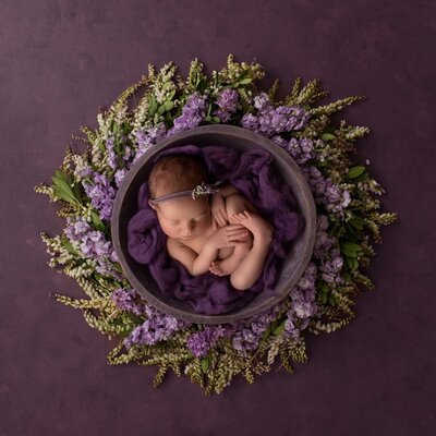 Newborn baby digital backdrop