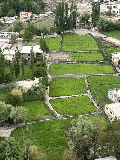 pakistan 7