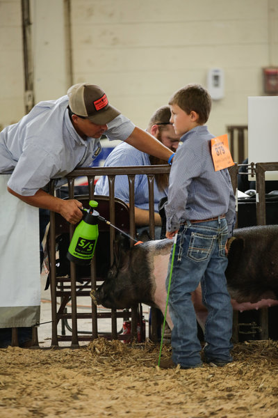 Jeffries Livestock Marketing_2019 Pueblo County Fair_Around the Fair-434