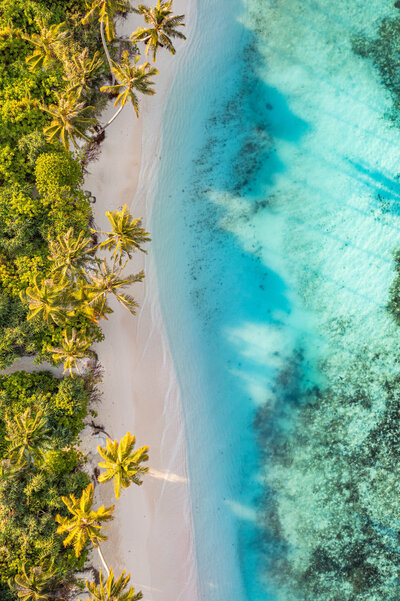 Aerial view of a tropical beach with turquoise water, white sand, and lush green palm trees along the shoreline.