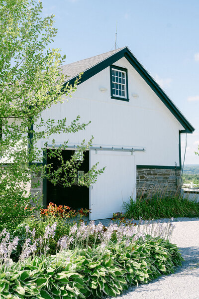 row of hydrangeas in garden in front of a white and stone barn at Windridge
