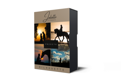 Gratis Silhouette pakket door Juliette Fotografie Academy