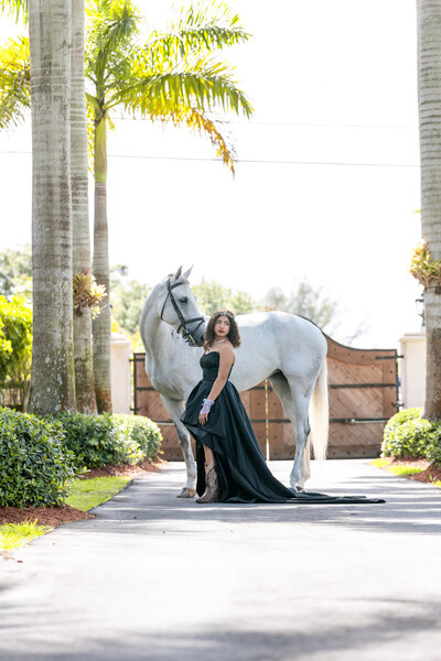 stylized photograph of a girl in an elegant black dress posing next to a white horse