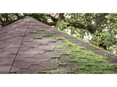 Residential Roofing Baltimore