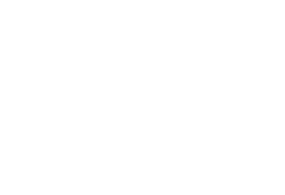 lydni mishe logo