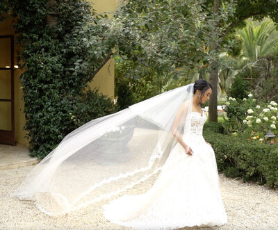 A bride in Napa, CA, standing gracefully in a vineyard, surrounded by lush grapevines and the picturesque landscape, embodying elegance and joy on her wedding day.