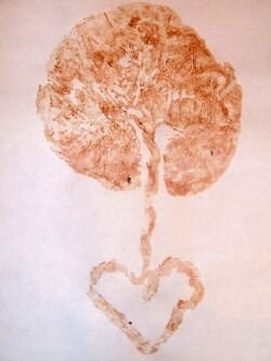 Placenta-Tree-Of-Life-Art