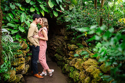 phipps conservatory marriage proposal photos