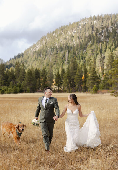 Lake Tahoe forest elopement