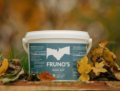 Het supplement voor paarden met maagzweren of mestwater. 