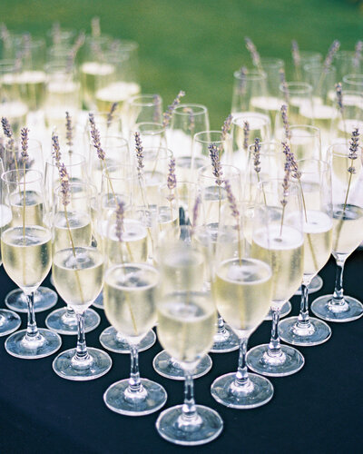 Premier Wedding Planner in Telluride, CO