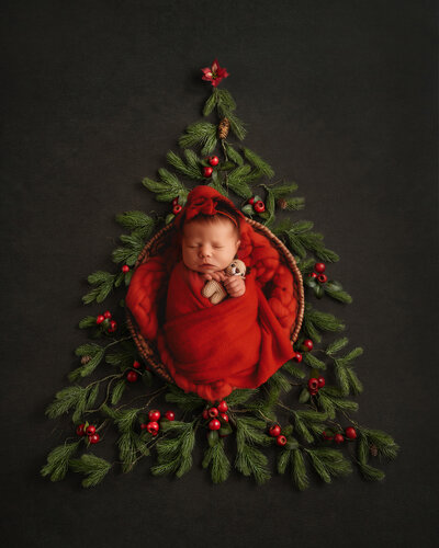 Infant posed for Newborn Portraits in Asheville, NC.