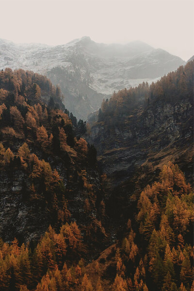 Mountains with fall colors
