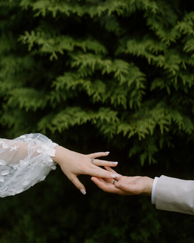 Bride and grooms hands reaching