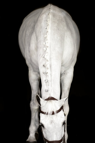 Photo Aug 21 2025, 11 50 26 PM (1)