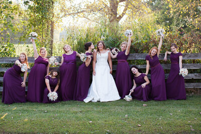Wedding Photographer Jefferson County - St. louis - High Ridge Wedding portrait photographer