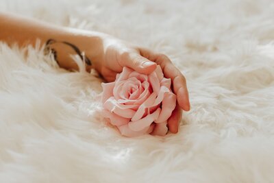 Hand holding flower