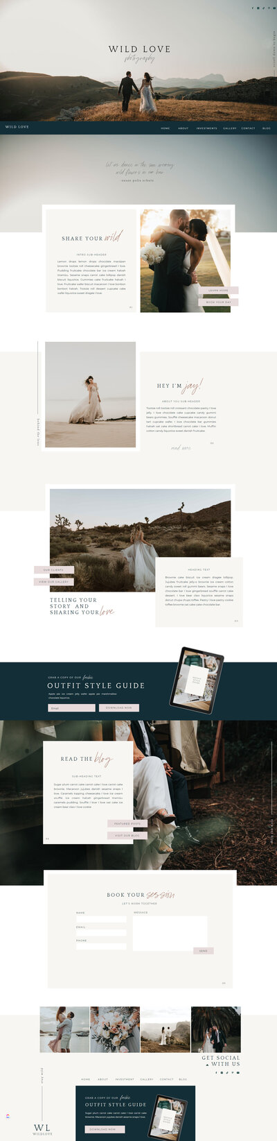 Picture of showit  website template