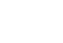 Wedding Chicks Logo