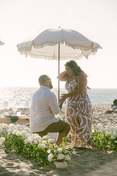 LA Beach Proposal