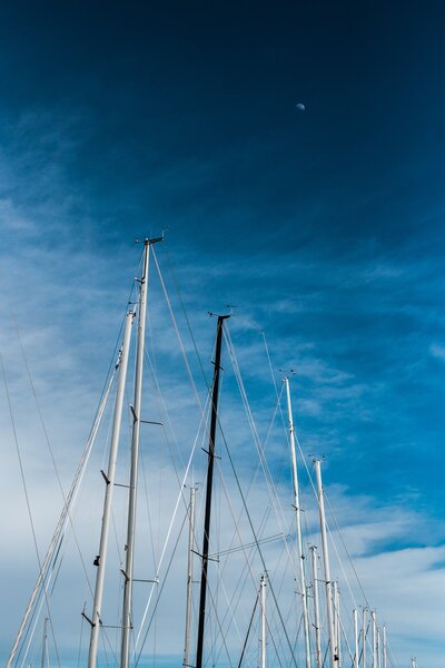 Sailboats masts in marina