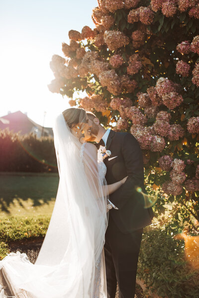 Bride and groom kissing in golden sunlight beneath blooming hydrangea bushes during their Portland Maine wedding.