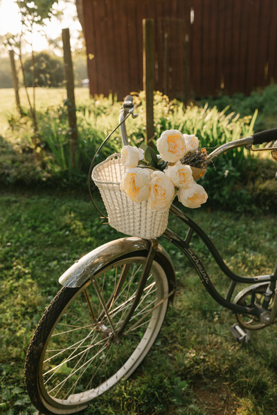 Vintage summer portrait of a young woman in a polka dot dress standing with a retro bicycle and a flower basket in golden hour light. Greenville South Carolina portrait photographer Dani Lacey Photographs captured this timeless countryside branding session on a family farm.