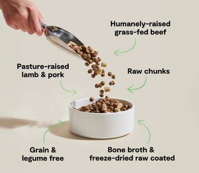 dog-kibble-healthy-ingredients
