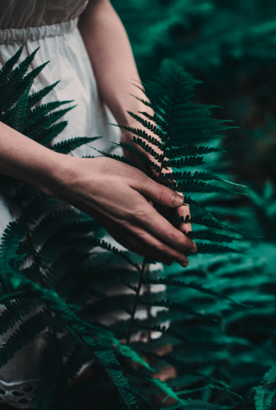 a closeup shot of a woman's hand touching plants in forest