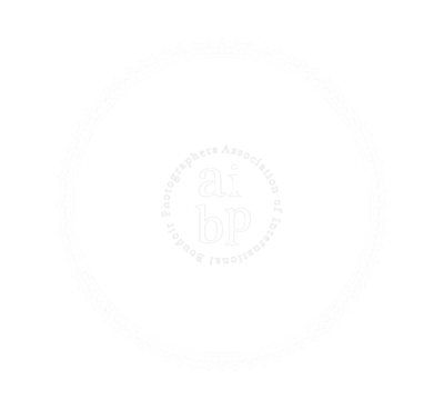 AIBP 2026 Distinguished Member