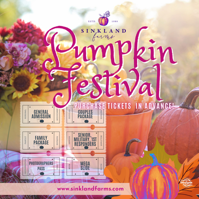 Creative Designs by Renee Social Media Content Creator and Manager and Google, META, and TikTok Online Ad Campaign Manager 
 for Sinklland Farms Pumpkin Festival