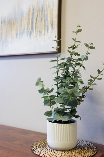 Small plant next to an abstract painting