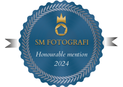 merit-badge-10302