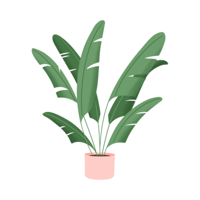 Plant graphic